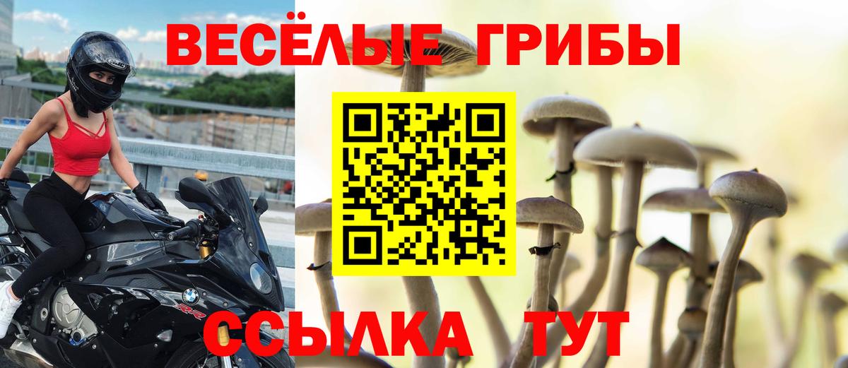 Галлюциногенные грибы MAGIC MUSHROOMS  Вход с VPN  Набережные Челны 
